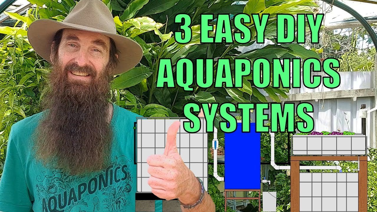 Top Aquaponics Training Near Gainesville for Sustainable Gardening